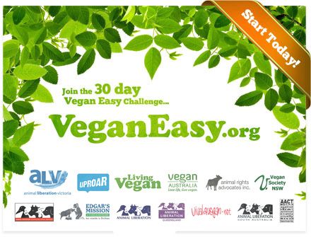 Vegan Easy Challenge